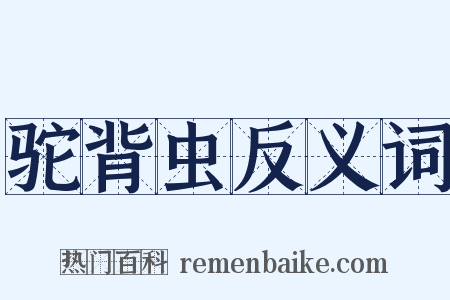 驼背虫反义词是什么意思的图片